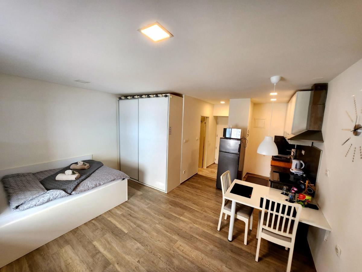 Studio Apartma V8 Марібор Екстер'єр фото